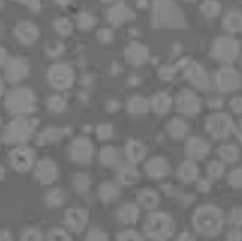 Sichuan Kunwei Langsheng Extrusie Intelligent Equipment Co., Ltd.